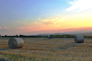 科技在现代农业中的重要性与应用 第1张 科技在现代农业中的重要性与应用 第1张