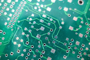 加载预训练的AI模型  第1张