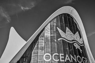 探索未来，科技资讯APP最新版本下载官网全解析  第1张