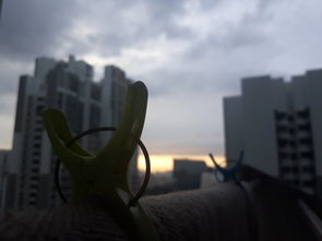 科技改变生活,初中生的视角 第1张 科技改变生活,初中生的视角 第1张