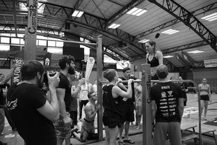 河南科技大学应用技术学院，培养新时代应用型人才的摇篮  第1张