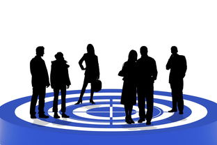 IT咨询行业，职业选择与发展趋势  第1张