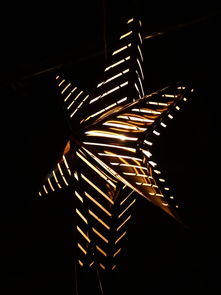 全球流行歌星，音乐界的璀璨明星  第1张