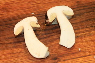 菌类知识百科：从蘑菇识别到安全食用的完整指南，让你轻松掌握菌类奥秘  第1张