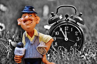 科普视频制作教程：从零开始轻松学会制作有趣易懂的科普视频