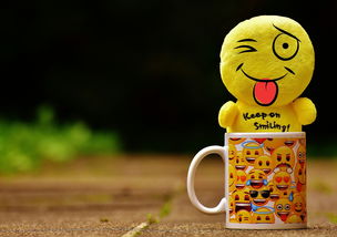 老胡是指什么动物？揭秘网络文化中狐狸的拟人化昵称与情感共鸣