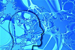 十万个为什么的科普文：激发孩子好奇心，轻松解答科学疑问